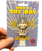 💦 Grow Your Own Boy Toy – Just Add Water!