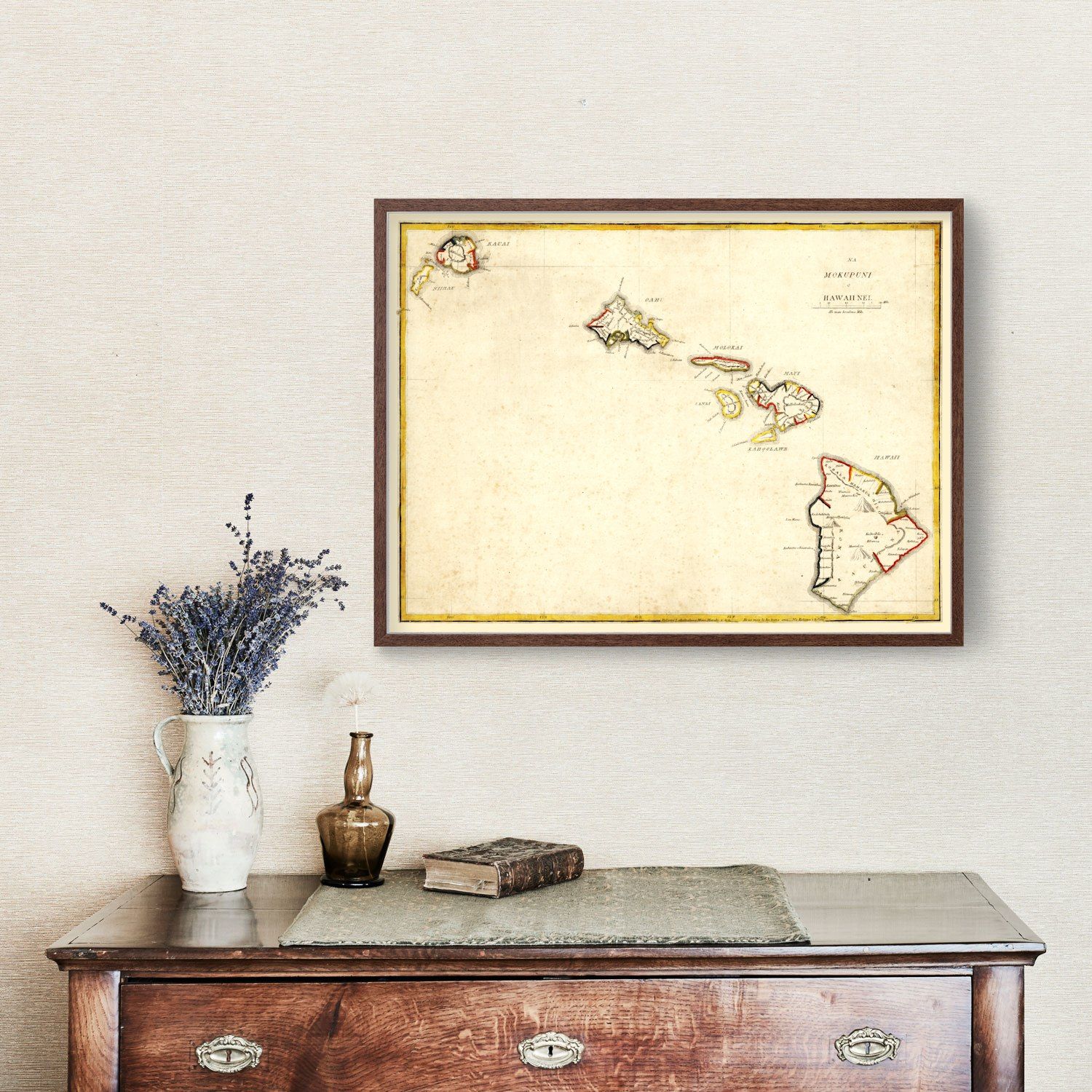 Vintage Map of Hawaii 1893