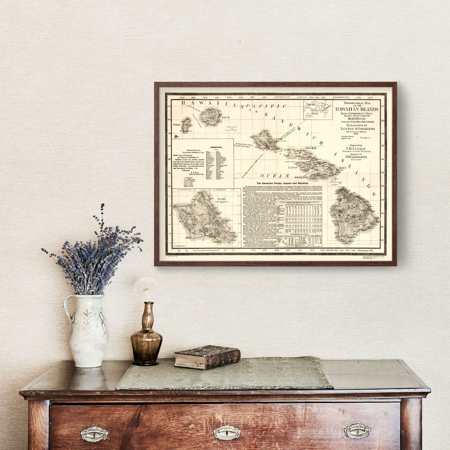 Vintage Map of Hawaii 1893