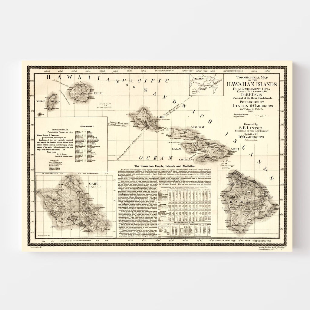 Vintage Map of Hawaii 1893