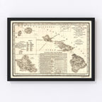 Vintage Map of Hawaii 1893