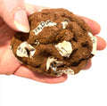 HIGH QUALITY Fake Dog Poop Poo Realistic Doggy Doo Doo Joke Gag - Paper in Crap