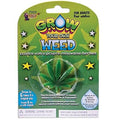 🌱 Grow Your Own Weed – Hilarious Water-Activated Gag Toy