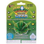 🌱 Grow Your Own Weed – Hilarious Water-Activated Gag Toy