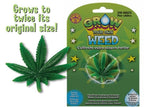 🌱 Grow Your Own Weed – Hilarious Water-Activated Gag Toy