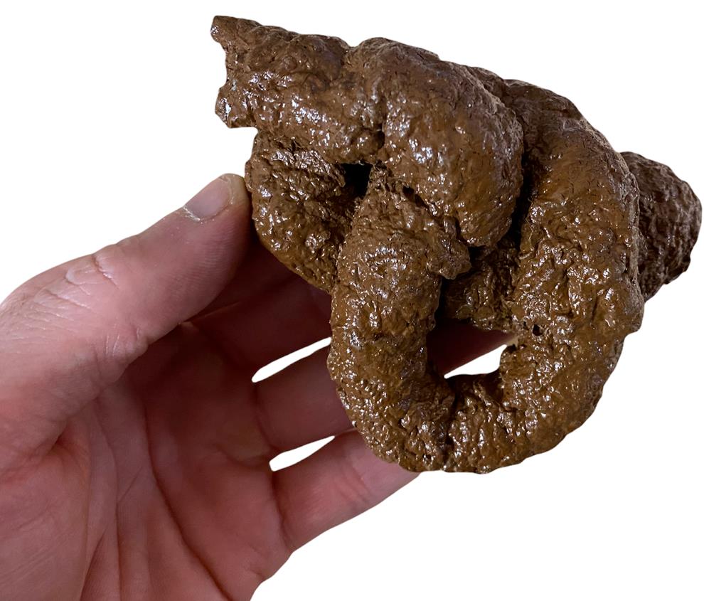 💩 Realistic Fake Dog Poop – Handmade Premium Gag Prank by Domagron
