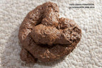 💩 Realistic Fake Dog Poop – Handmade Premium Gag Prank by Domagron
