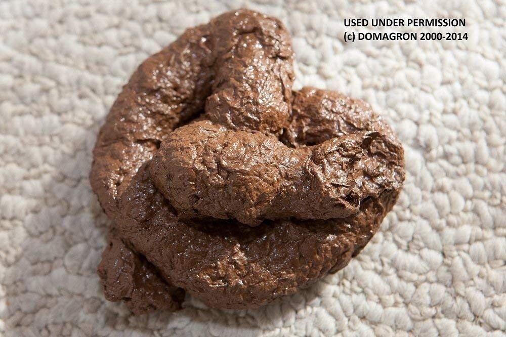 💩 Realistic Fake Dog Poop – Handmade Premium Gag Prank by Domagron