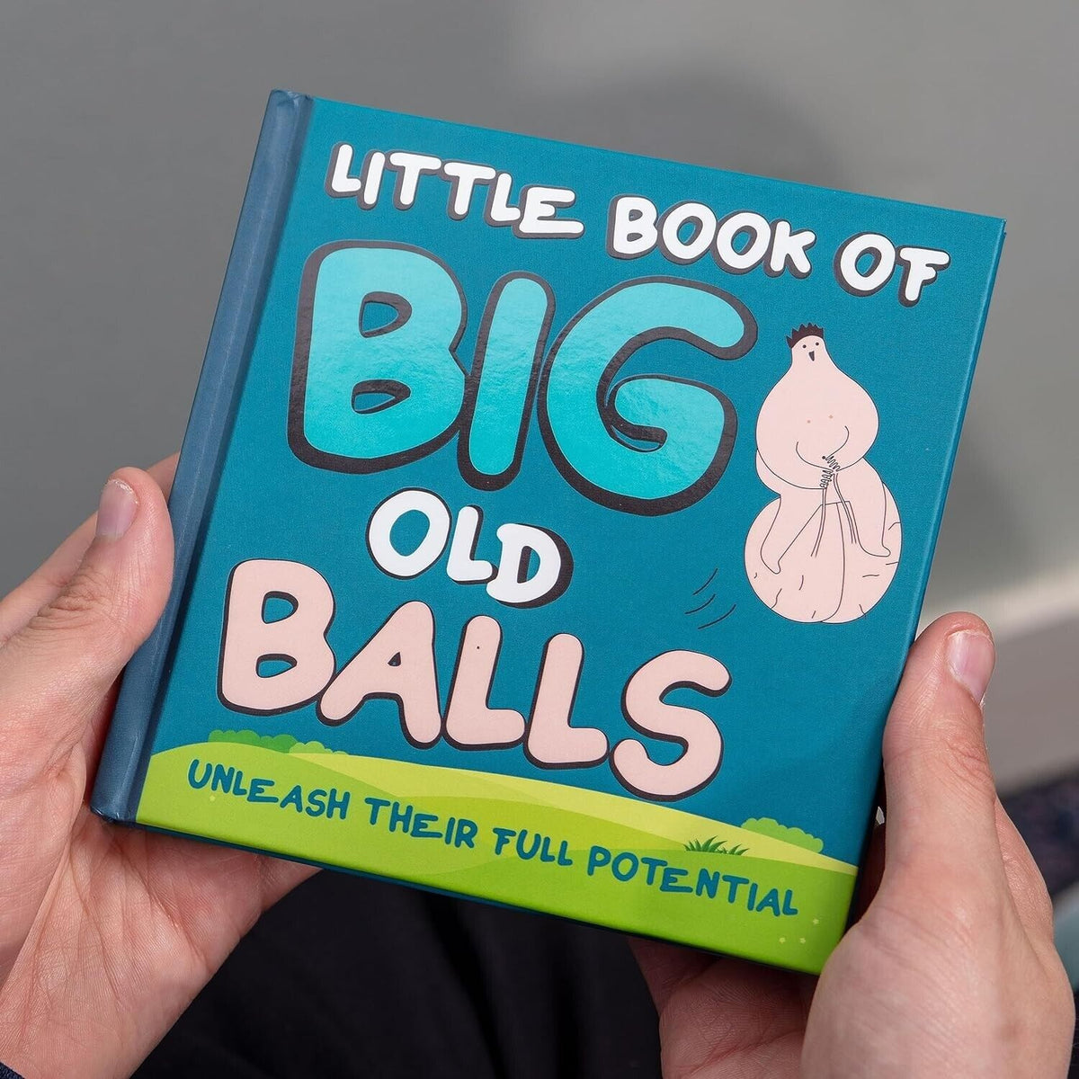 Little Book of Big Old Balls – Hilarious Gag Gift Book for Him 🎾📚🤣