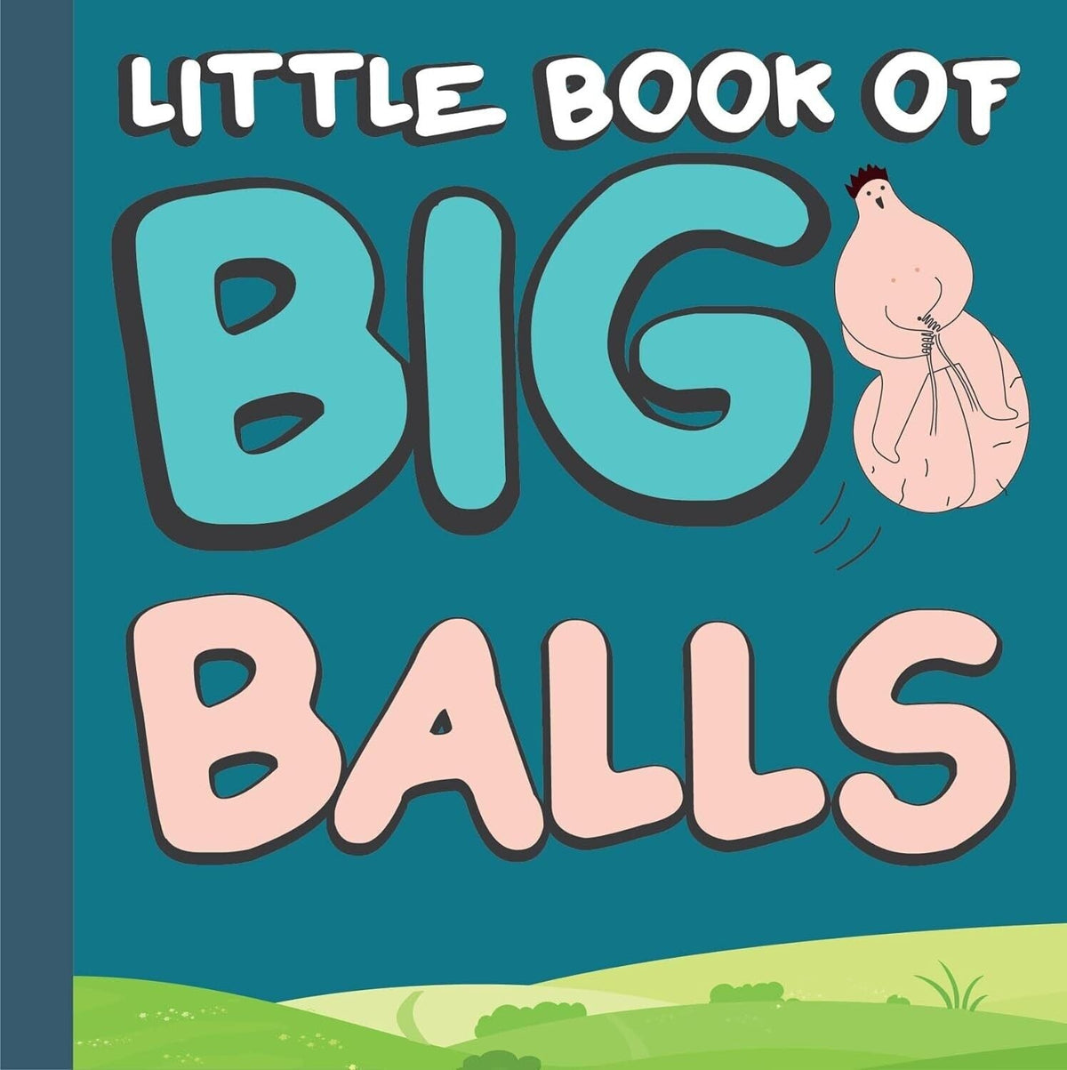 Little Book of Big Old Balls – Hilarious Gag Gift Book for Him 🎾📚🤣