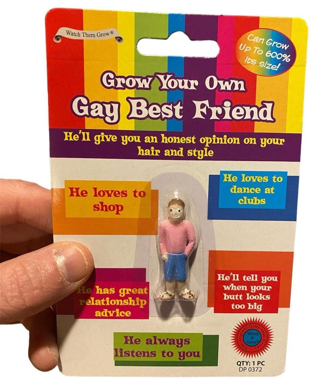 🌈 Grow Your Own Gay Best Friend – Hilarious Reusable Gag Gift