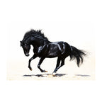 Black Stallion