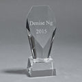 Optic Fountain Trophy, 9.25" Ht