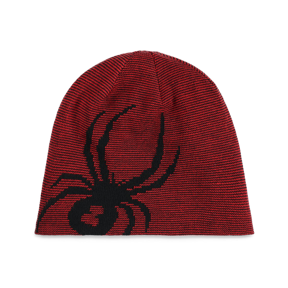 SPYDER Boys' Reversible Bug