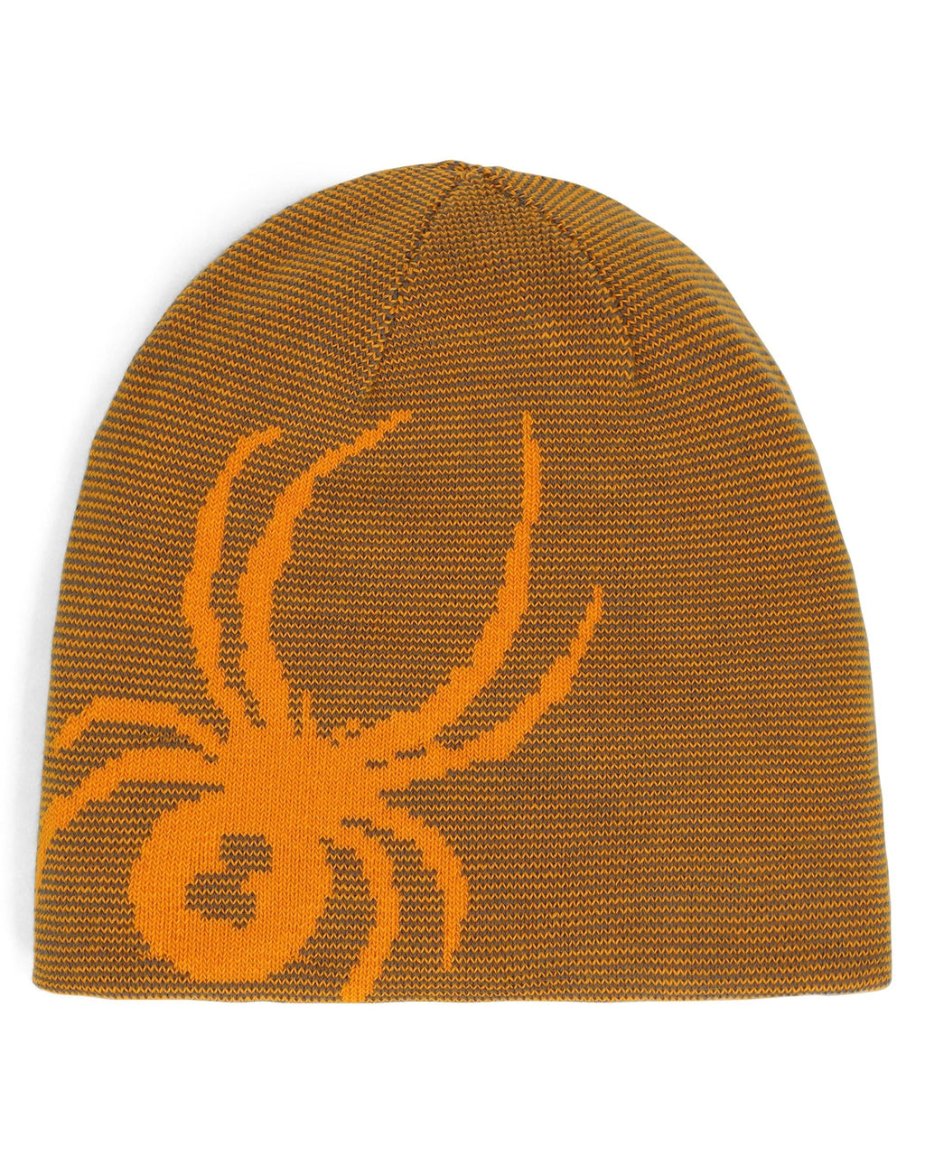 SPYDER Boys' Reversible Bug