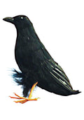 Giant Black Raven Bird Prop 10"