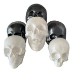 4 Piece Skull Mold Set