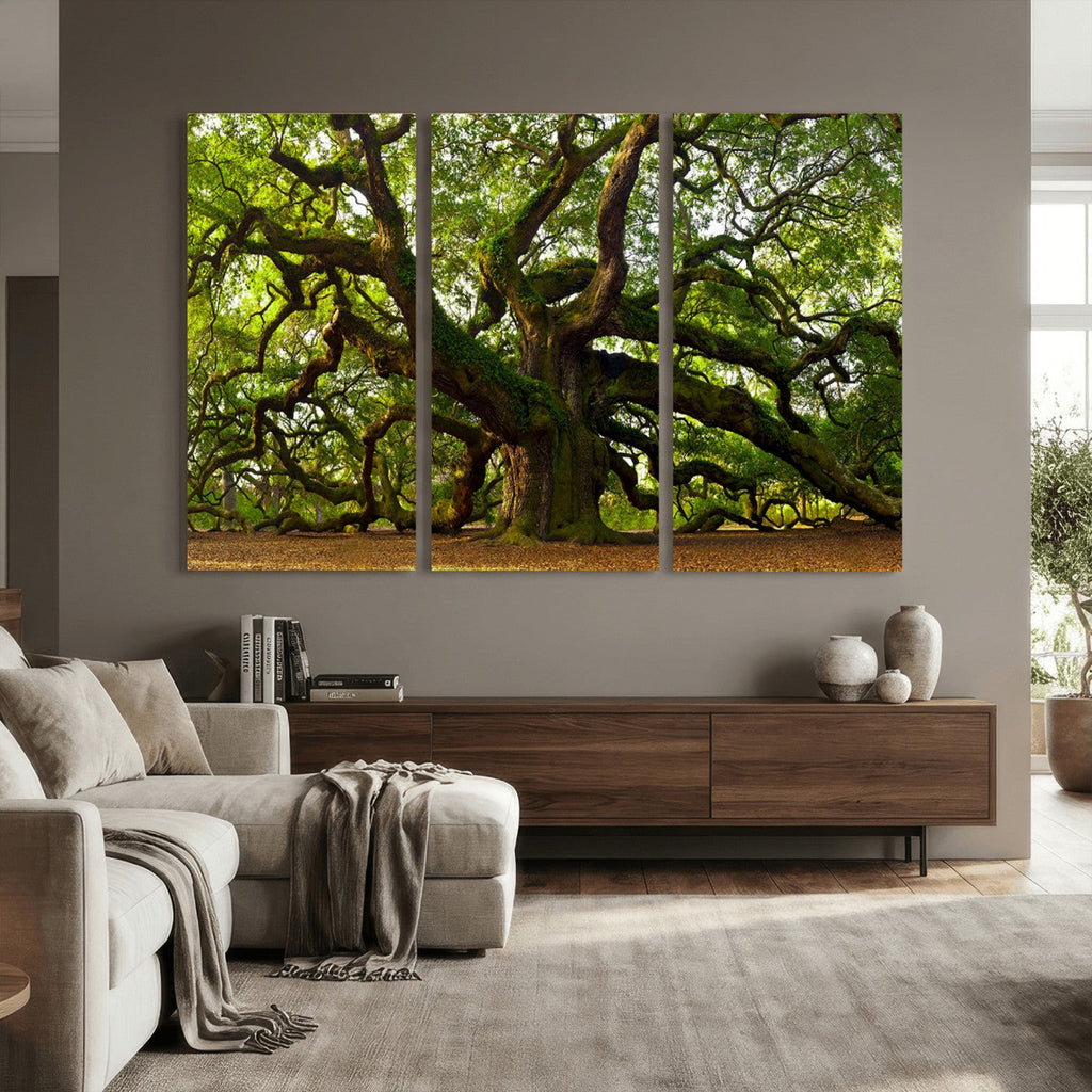 Angel Oak Tree Wall Art Canvas Print | Forest Tree Nature Photography Print