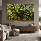 Angel Oak Tree Wall Art Canvas Print | Forest Tree Nature Photography Print