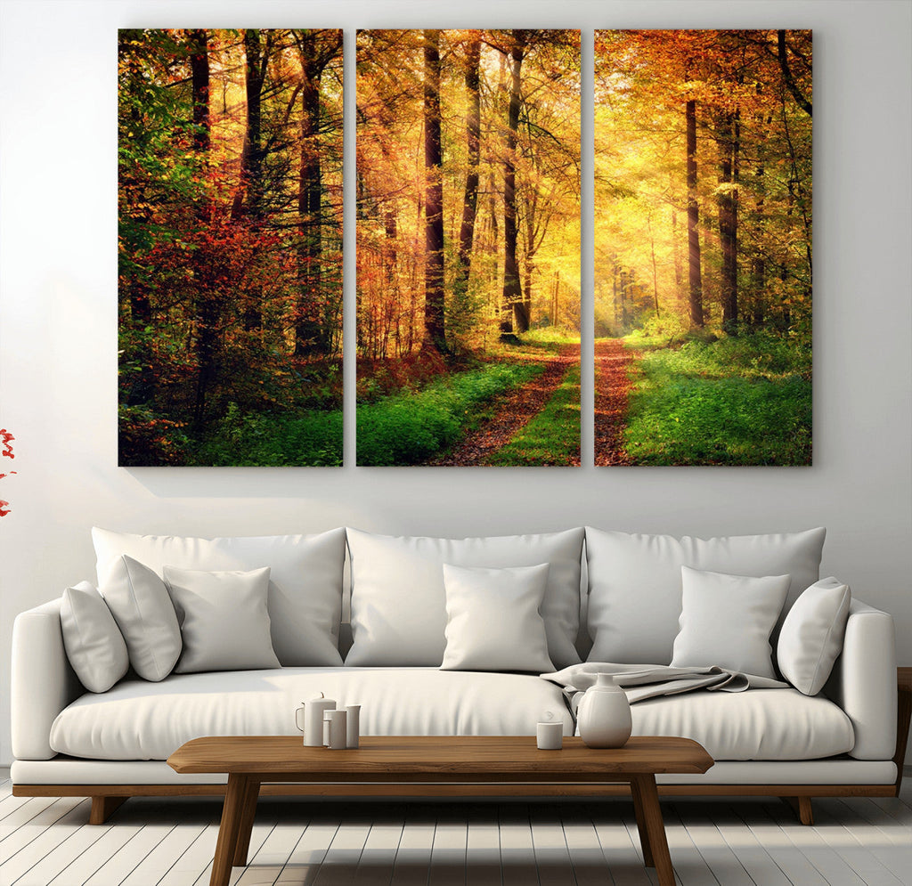 Sunlight Through Trees Wall Art Canvas Print | Autumn Forest Wall Art
