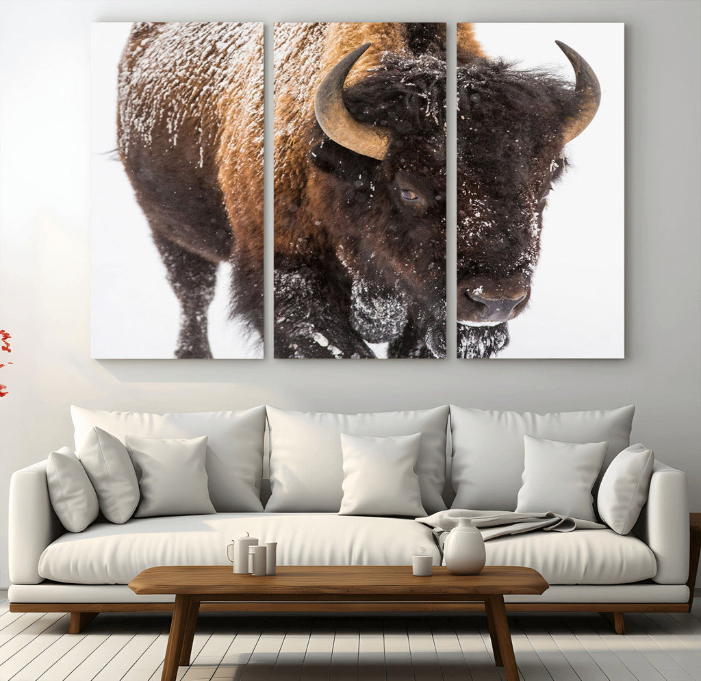 Bison Wall Art Canvas Print For Farmhouse, Wild Animal Wall Art