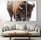 Bison Wall Art Canvas Print For Farmhouse, Wild Animal Wall Art