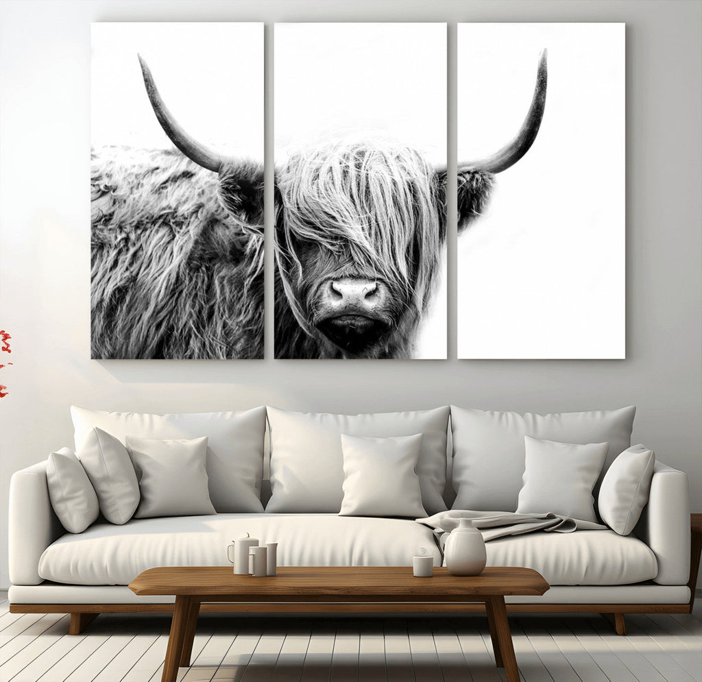 Black White Scottish Highland Cow Cattle Art Print Farmhouse Decor