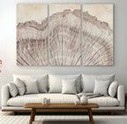 Tree Ring Wall Art Triptych, Rustic Wood Ring Canvas Print