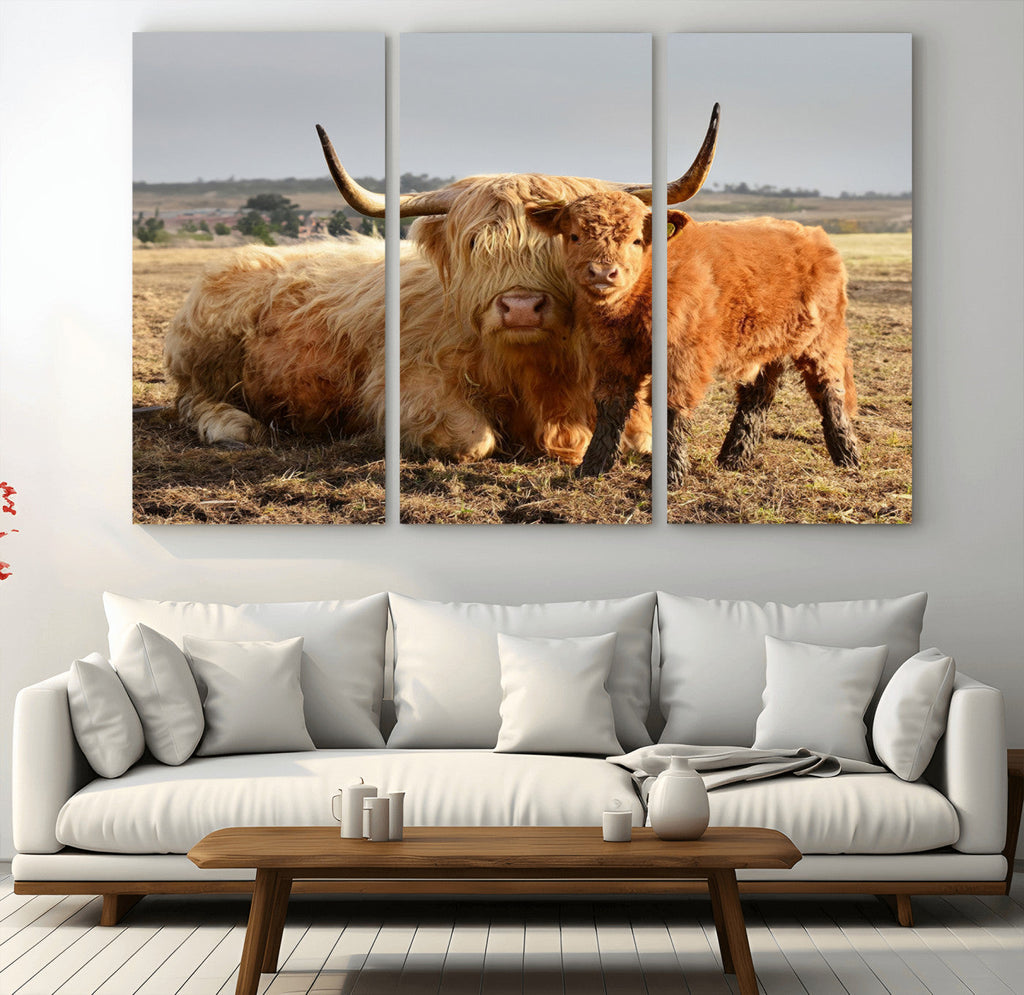 Highland Cow Canvas Wall Art Animal Print for Farm House Decor
