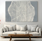 Abstract Tree Ring Wall Art Canvas Print, Framed and Ready to Hang