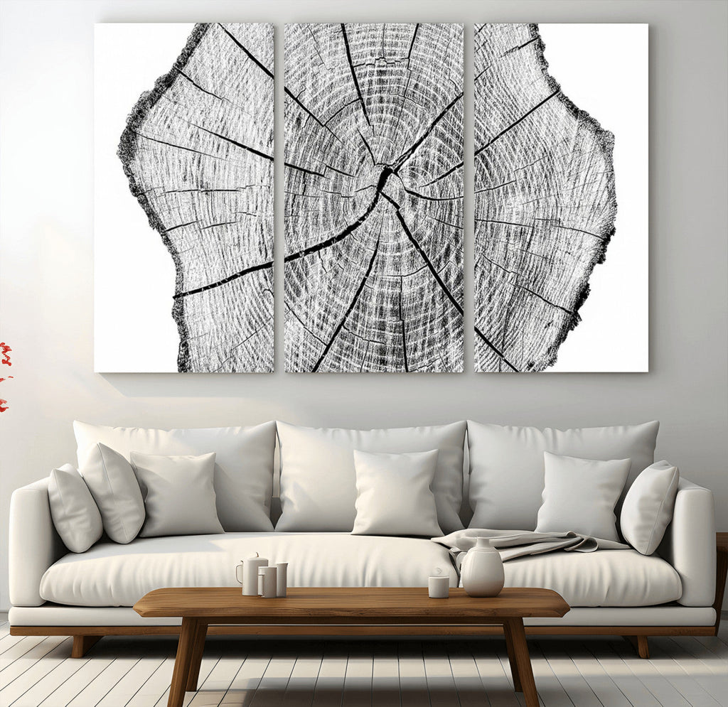 Rustic Tree Ring Wall Art Canvas Print, Framed and Ready to Hang