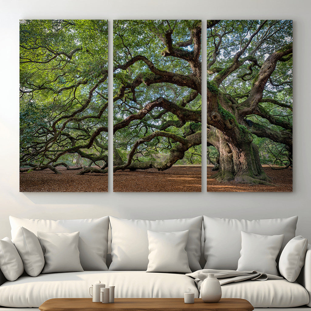 Historic Tree Wall Art | Framed Mossy Branch Canvas Artwork