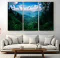 Tropical Jungle Wall Art Canvas Print | Framed Lush Valley