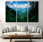 Tropical Jungle Wall Art Canvas Print | Framed Lush Valley