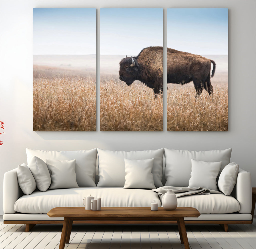 Wild Bison Wall Art | Framed Prairie Landscape Canvas