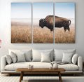 Wild Bison Wall Art | Framed Prairie Landscape Canvas
