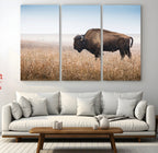 Wild Bison Wall Art | Framed Prairie Landscape Canvas