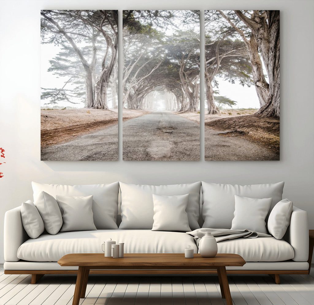 Cypress Tunnel Wall Art | Framed Misty Road Canvas Artwork
