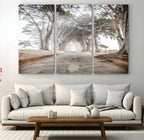 Cypress Tunnel Wall Art | Framed Misty Road Canvas Artwork