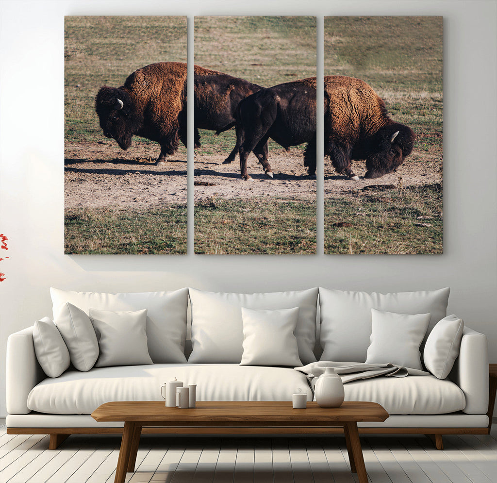 Bison Wall Art Canvas Print, Framed Western Wildlife Modern Ranch
