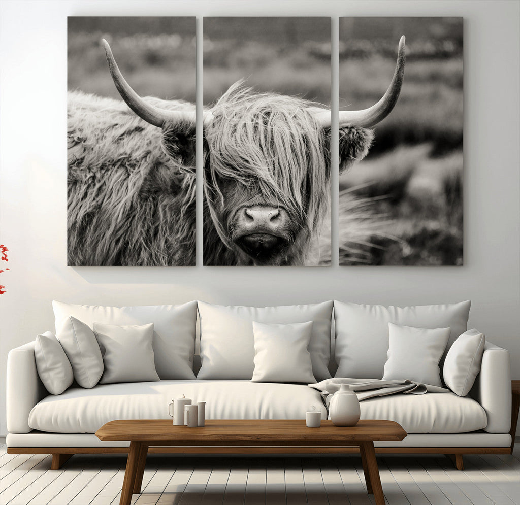 Cow Focus Canvas Wall Art Print