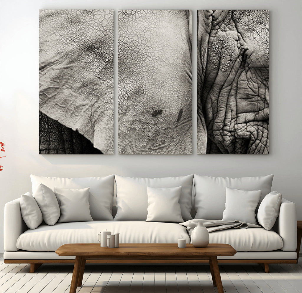 Elephant Wall Art Canvas Print