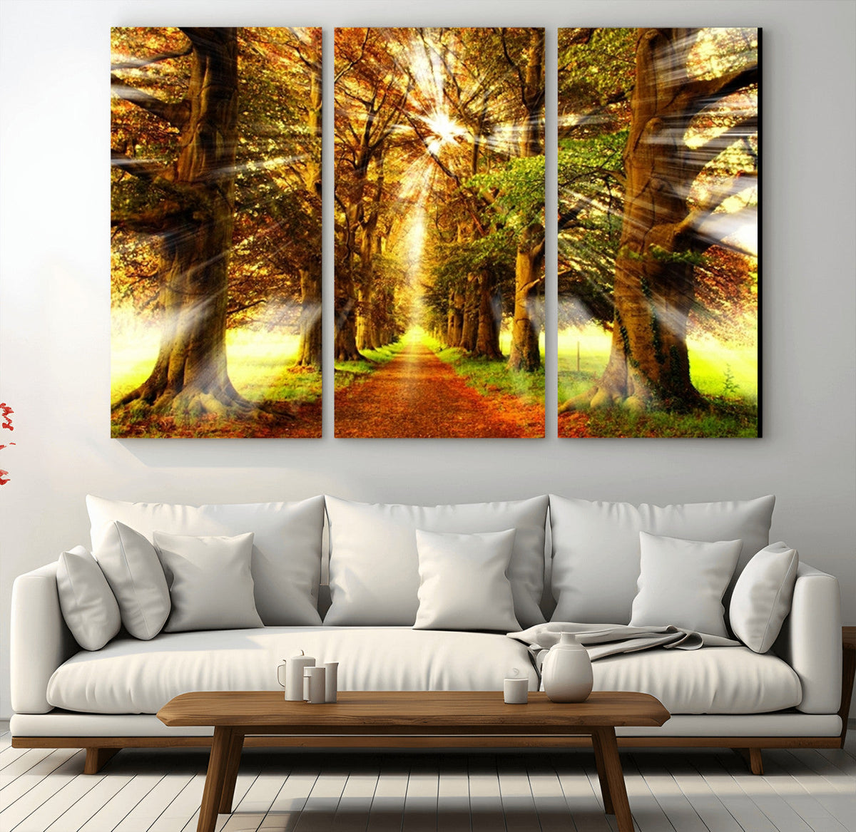 Sunshine in Forest and Trees Wall Art Canvas Print