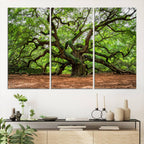Majestic Oak Tree Wall Art Canvas Print | Ancient Branches