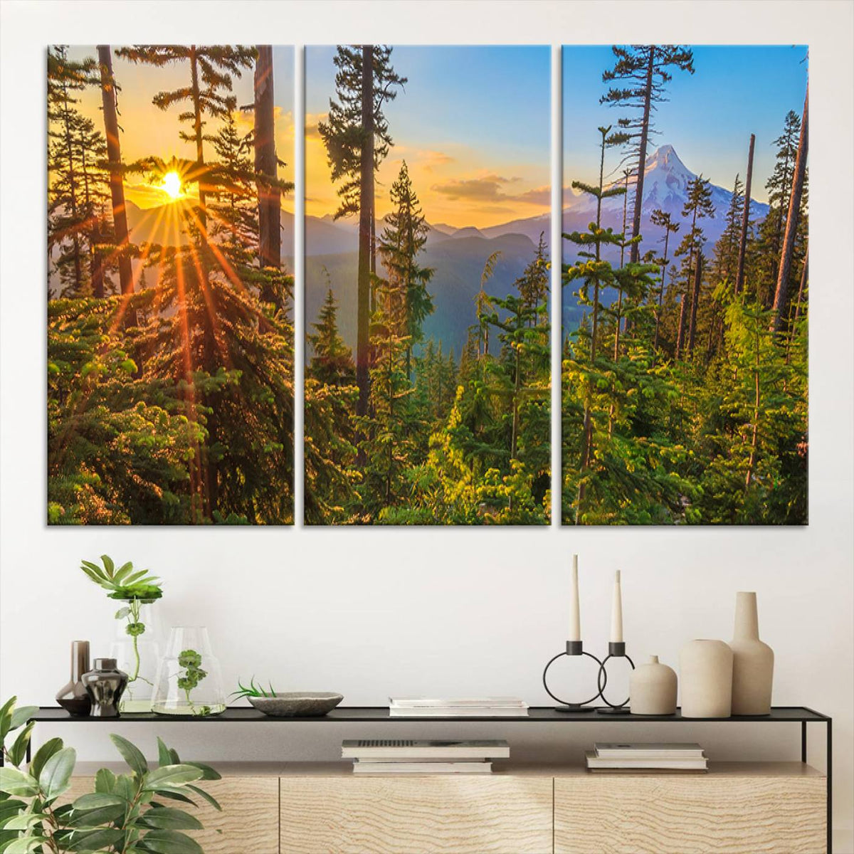 Forest Sunset Wall Art Canvas Print | Green Pines in Golden Light
