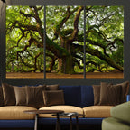Angel Oak Tree Wall Art Canvas Print | Forest Tree Nature Photography Print