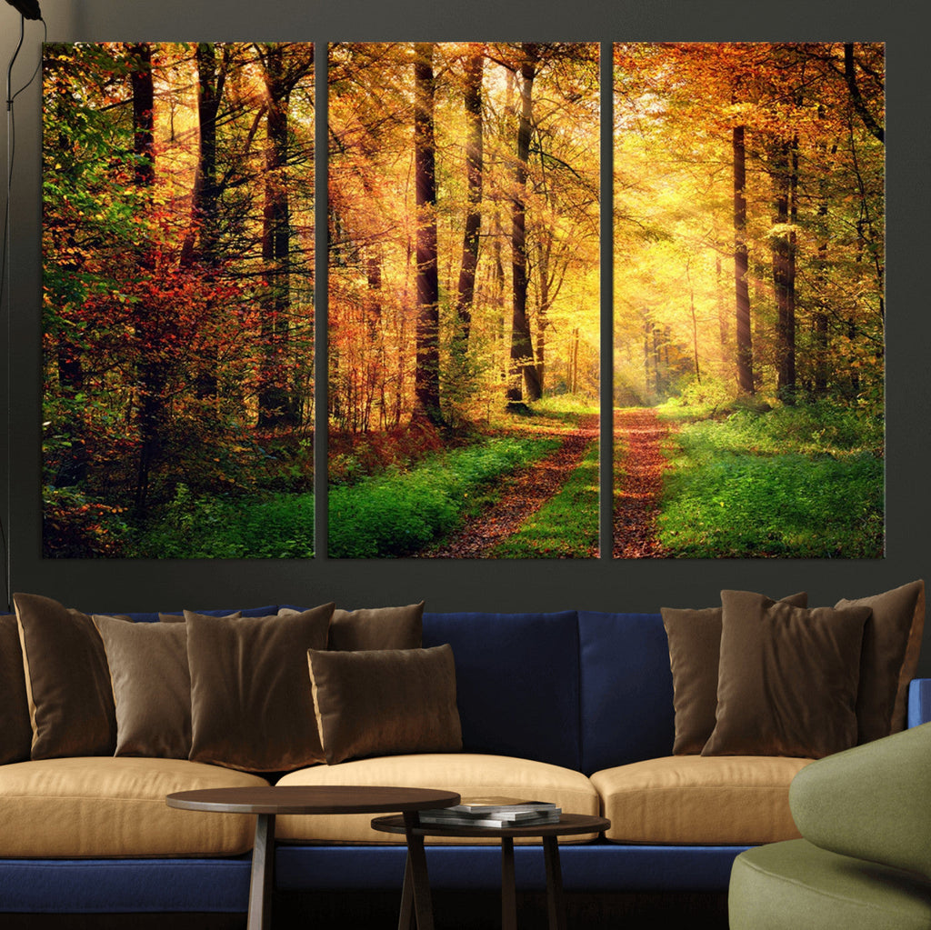 Sunlight Through Trees Wall Art Canvas Print | Autumn Forest Wall Art