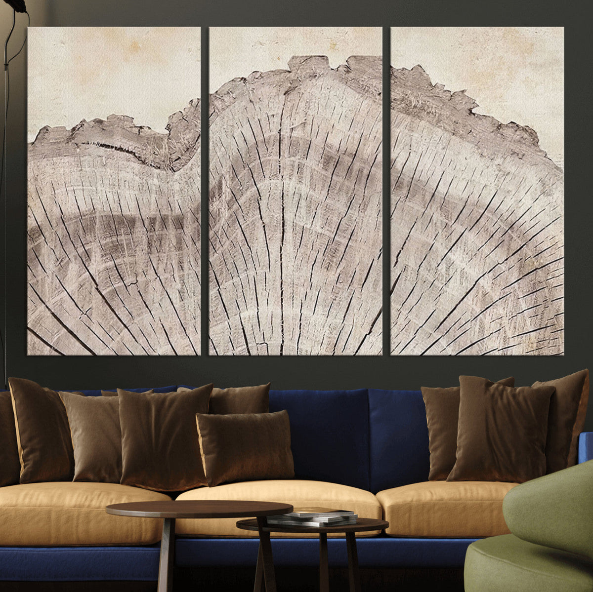 Tree Ring Wall Art Triptych, Rustic Wood Ring Canvas Print