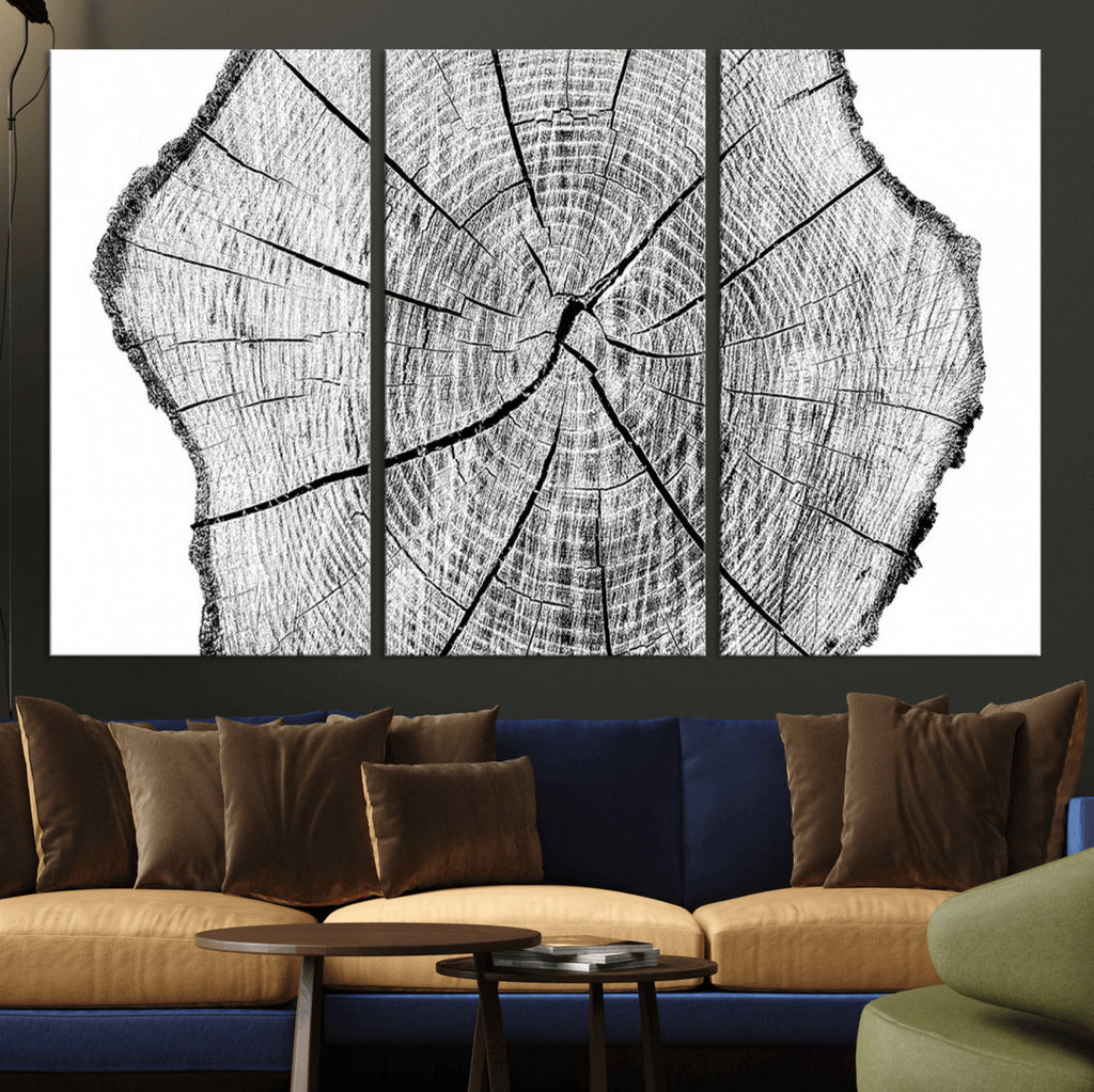 Rustic Tree Ring Wall Art Canvas Print, Framed and Ready to Hang