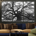 Ancient Oak Wall Art Canvas Print | Gnarled Tree with Twisted Branches